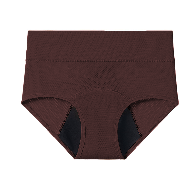 Comfort Plus Leakproof Underwear (Heavy Absorbency 10-Pack)