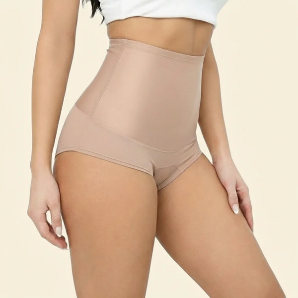 Leakproof Shaping Brief (5-Pack)