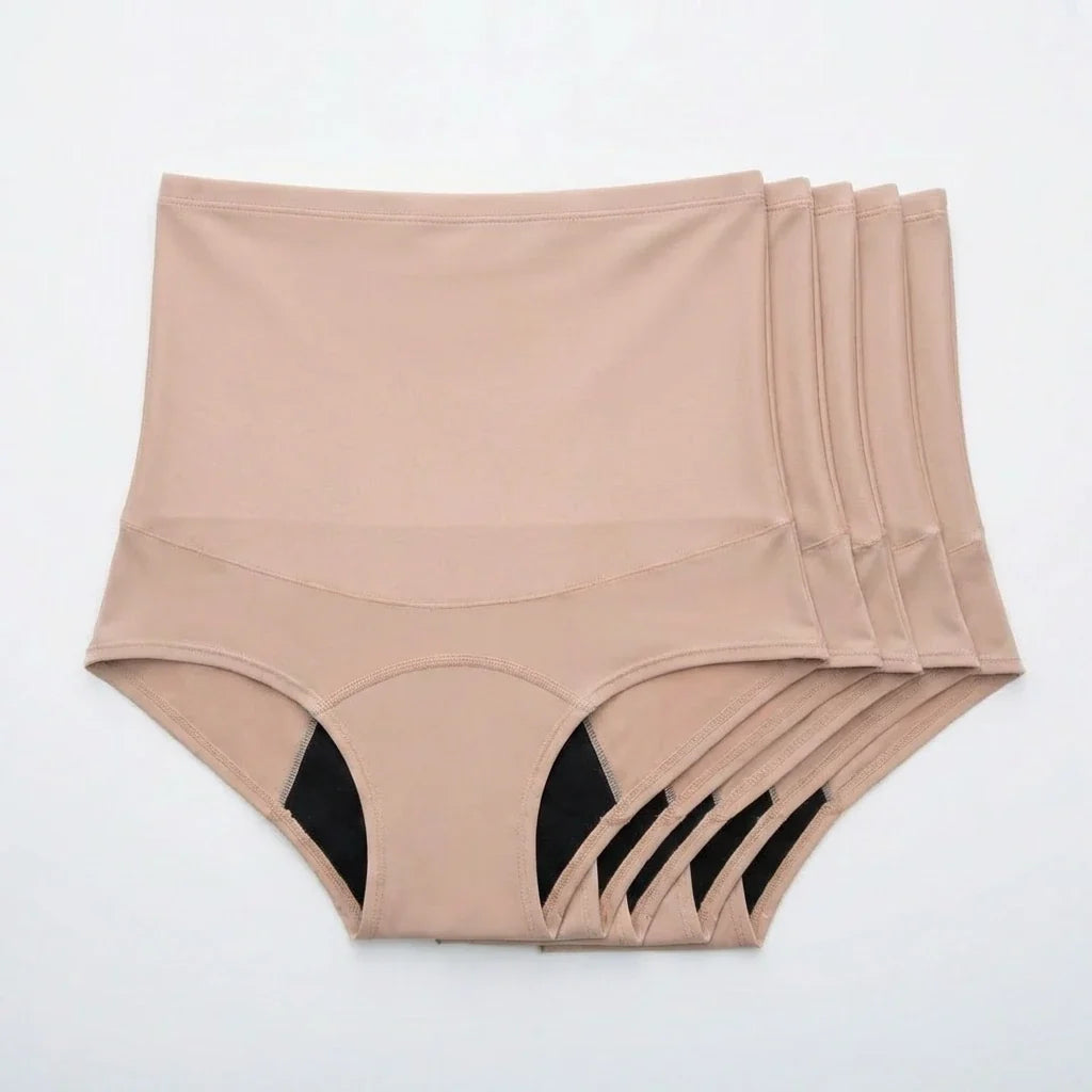 Leakproof Shaping Brief (10-Pack)